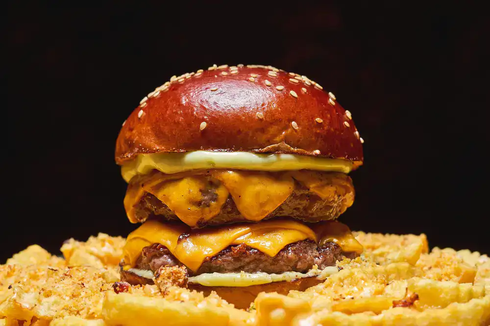 Double smash patty burger with fries